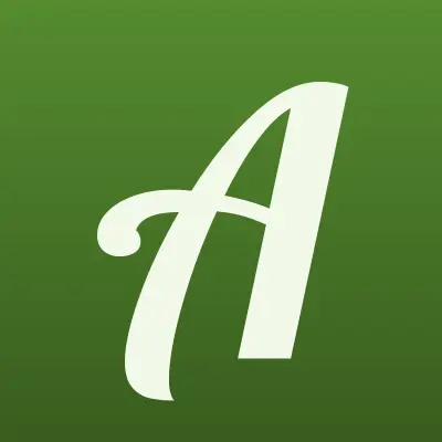 АвтоОко, сервисная компания, лого-визитка