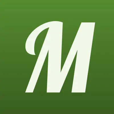 Магазин радио и электротоваров, ИП Свергунов А.Е, лого-визитка